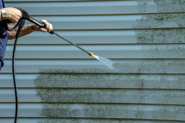 Local Pressure Washing Services in Frankfort, IL