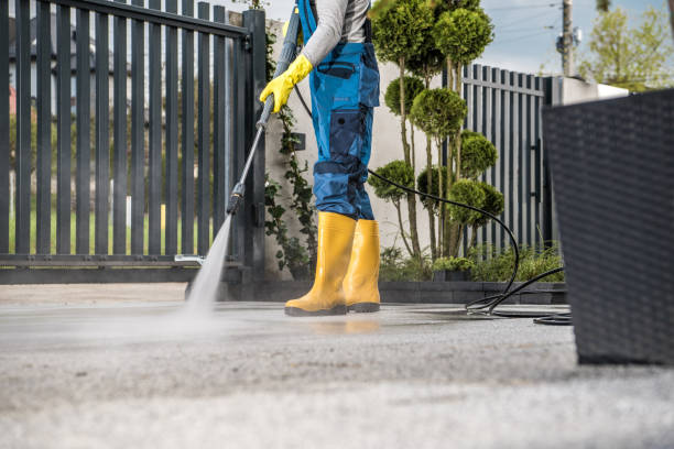 Deck Cleaning Services in Frankfort, IL