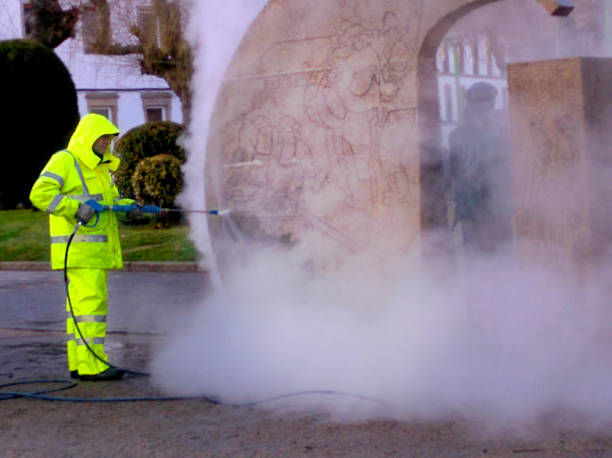 Best Affordable Pressure Washing  in Frankfort, IL