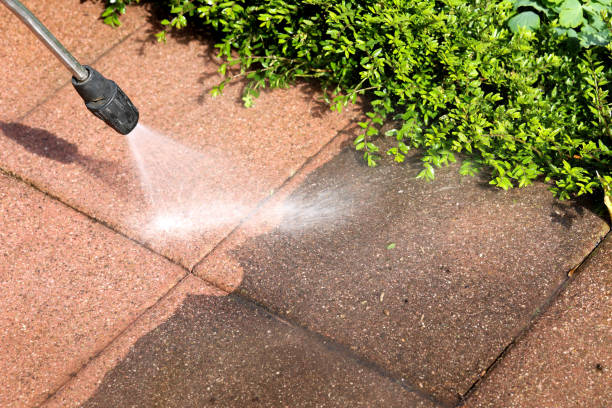 Best Deck Cleaning Services  in Frankfort, IL